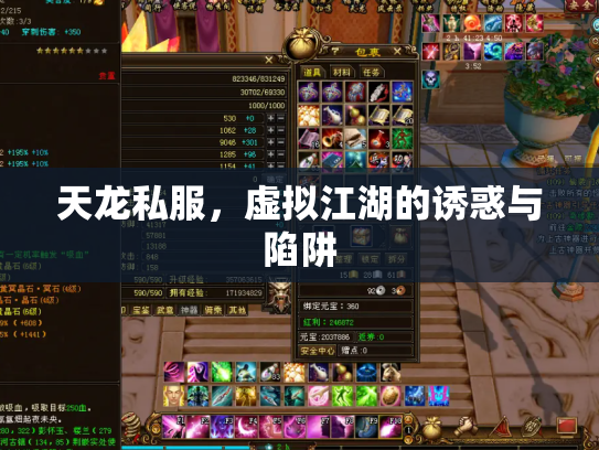 天龙私服，虚拟江湖的诱惑与陷阱