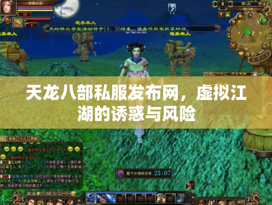 天龙八部私服发布网，虚拟江湖的诱惑与风险