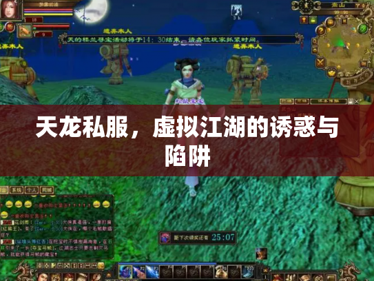 天龙私服，虚拟江湖的诱惑与陷阱