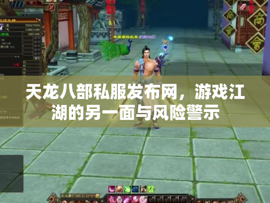 天龙八部私服发布网，游戏江湖的另一面与风险警示