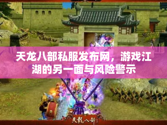 天龙八部私服发布网，游戏江湖的另一面与风险警示