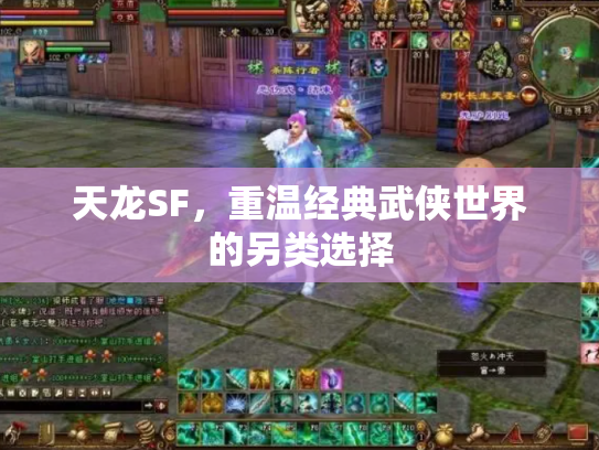 天龙SF，重温经典武侠世界的另类选择