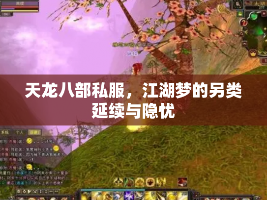 天龙八部私服，江湖梦的另类延续与隐忧
