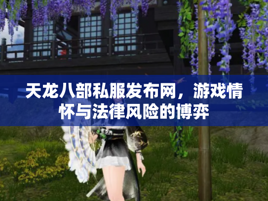 天龙八部私服发布网，游戏情怀与法律风险的博弈