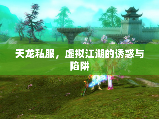 天龙私服，虚拟江湖的诱惑与陷阱