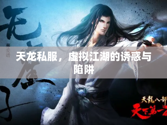 天龙私服，虚拟江湖的诱惑与陷阱