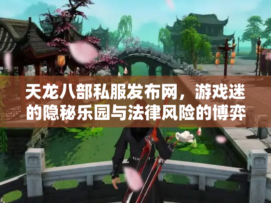 天龙八部私服发布网，游戏迷的隐秘乐园与法律风险的博弈