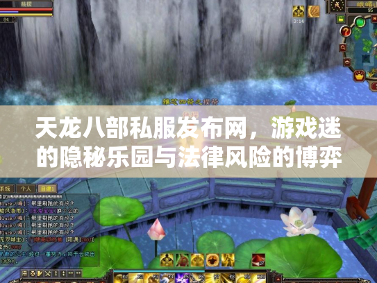 天龙八部私服发布网，游戏迷的隐秘乐园与法律风险的博弈
