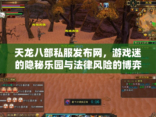 天龙八部私服发布网，游戏迷的隐秘乐园与法律风险的博弈