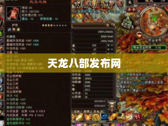 天龙八部发布网