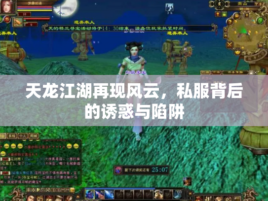天龙江湖再现风云，私服背后的诱惑与陷阱
