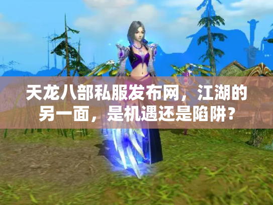 天龙八部私服发布网，江湖的另一面，是机遇还是陷阱？