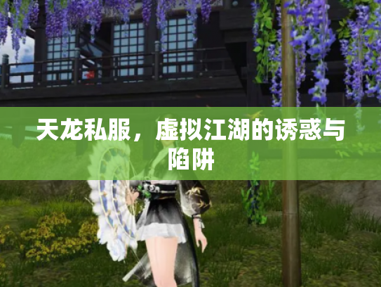 天龙私服，虚拟江湖的诱惑与陷阱