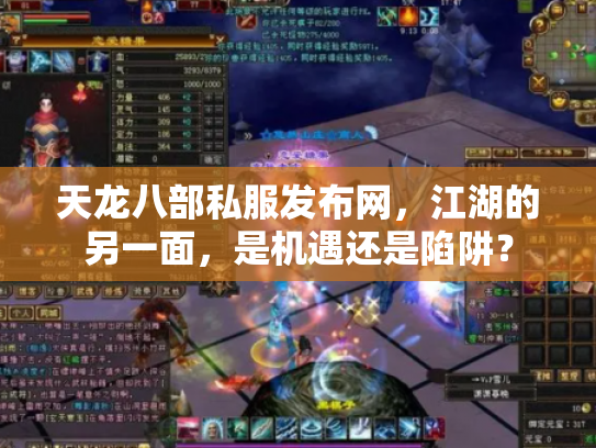 天龙八部私服发布网，江湖的另一面，是机遇还是陷阱？