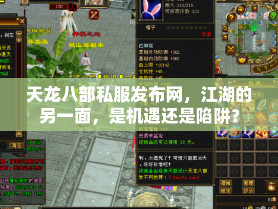 天龙八部私服发布网，江湖的另一面，是机遇还是陷阱？