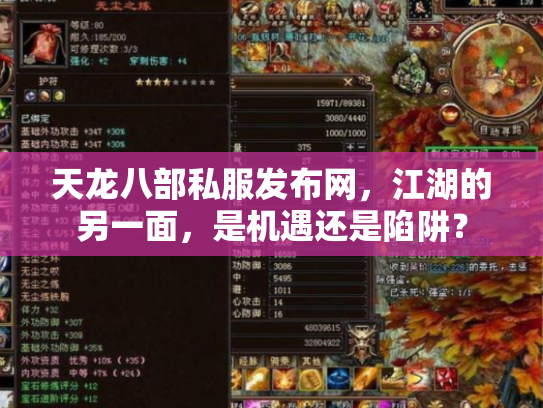 天龙八部私服发布网，江湖的另一面，是机遇还是陷阱？