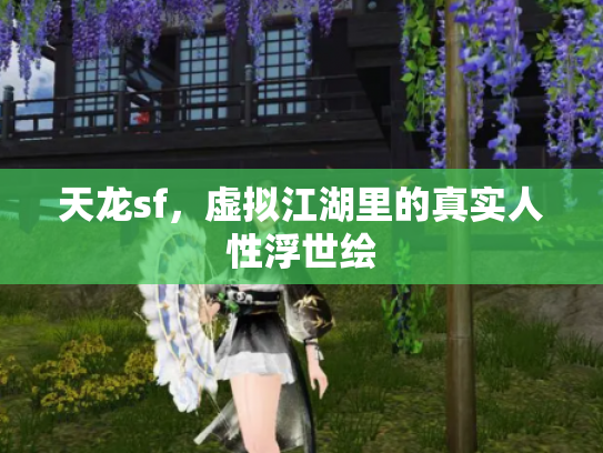 天龙sf，虚拟江湖里的真实人性浮世绘