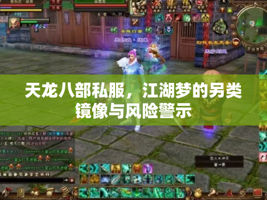 天龙八部私服，江湖梦的另类镜像与风险警示