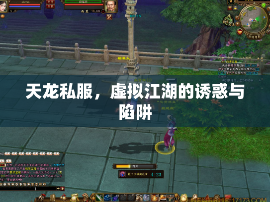 天龙私服，虚拟江湖的诱惑与陷阱