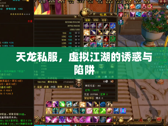 天龙私服，虚拟江湖的诱惑与陷阱