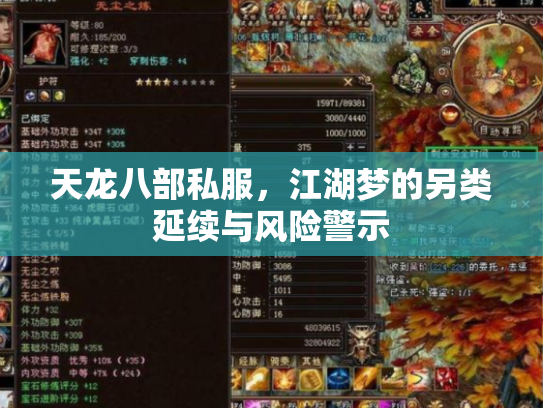 天龙八部私服，江湖梦的另类延续与风险警示
