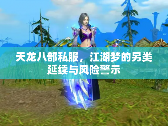 天龙八部私服，江湖梦的另类延续与风险警示