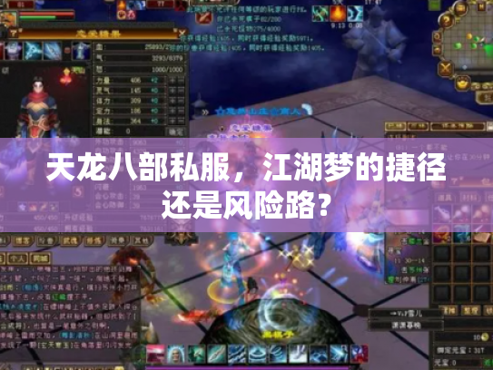 天龙八部私服，江湖梦的捷径还是风险路？