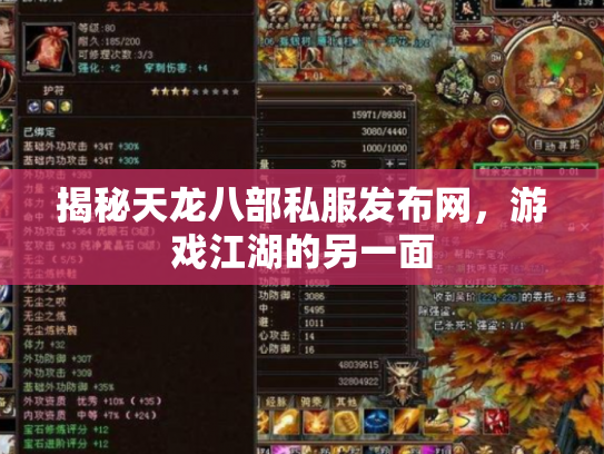 揭秘天龙八部私服发布网，游戏江湖的另一面