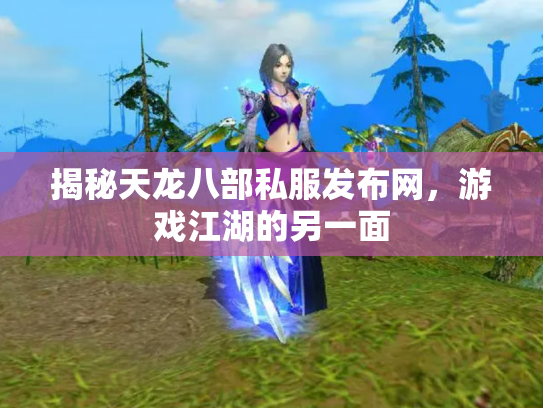 揭秘天龙八部私服发布网，游戏江湖的另一面