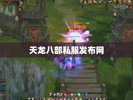 天龙八部私服发布网