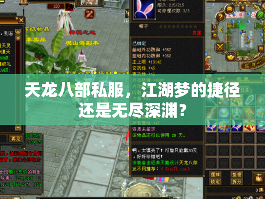 天龙八部私服，江湖梦的捷径还是无尽深渊？