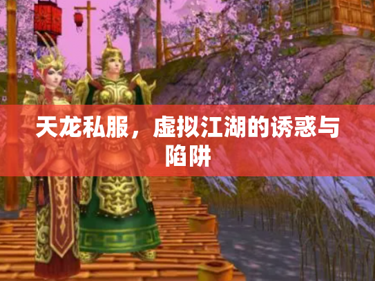 天龙私服，虚拟江湖的诱惑与陷阱