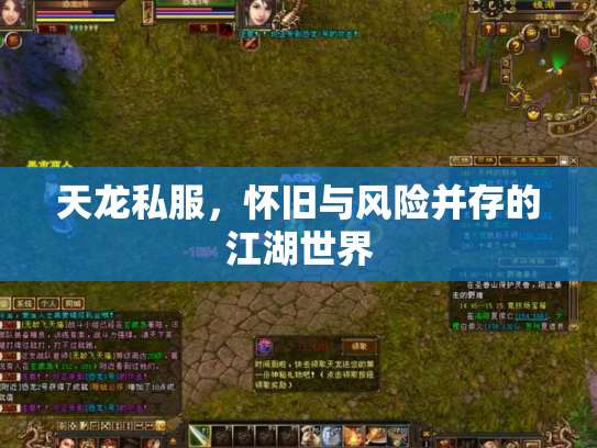 天龙私服，怀旧与风险并存的江湖世界