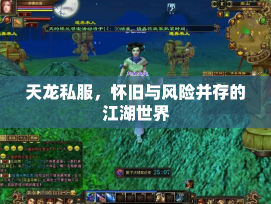 天龙私服，怀旧与风险并存的江湖世界