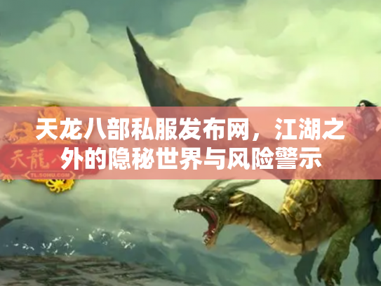天龙八部私服发布网，江湖之外的隐秘世界与风险警示