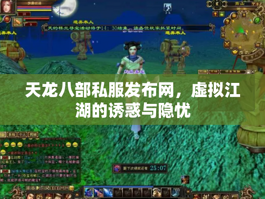 天龙八部私服发布网，虚拟江湖的诱惑与隐忧