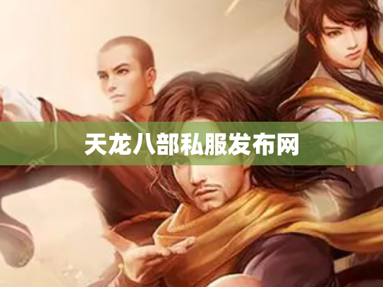 天龙八部私服发布网