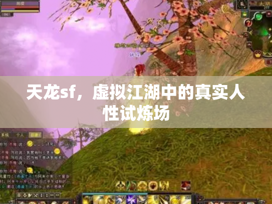 天龙sf，虚拟江湖中的真实人性试炼场