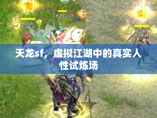 天龙sf，虚拟江湖中的真实人性试炼场