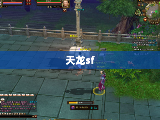 天龙sf