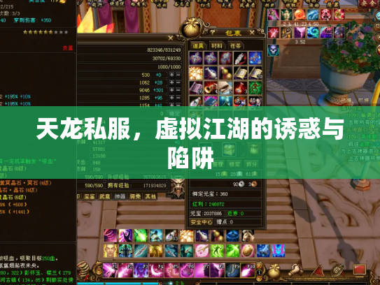天龙私服，虚拟江湖的诱惑与陷阱