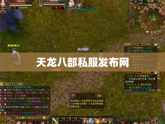天龙八部私服发布网