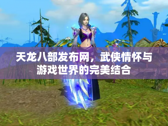 天龙八部发布网，武侠情怀与游戏世界的完美结合