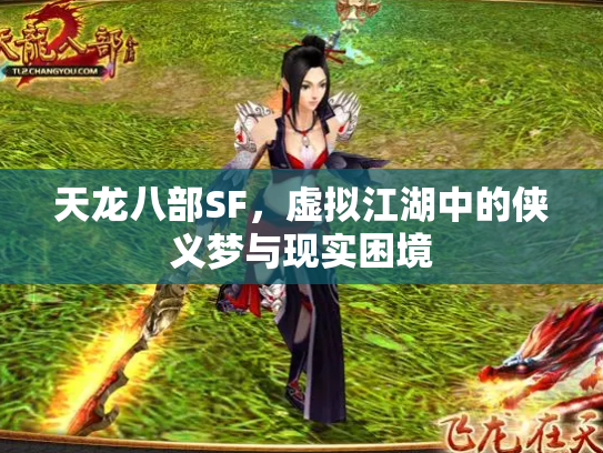 天龙八部SF，虚拟江湖中的侠义梦与现实困境