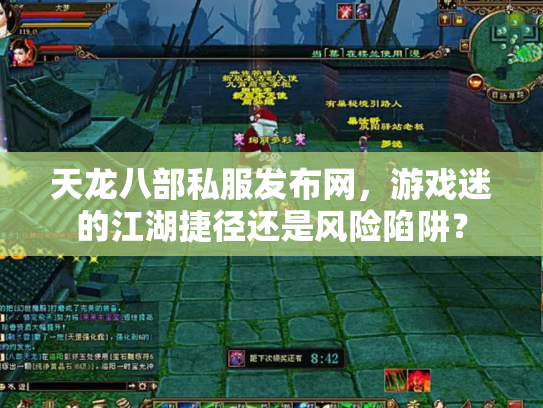 天龙八部私服发布网，游戏迷的江湖捷径还是风险陷阱？