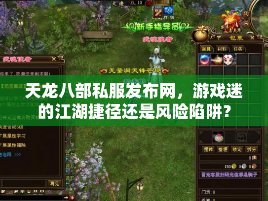天龙八部私服发布网，游戏迷的江湖捷径还是风险陷阱？