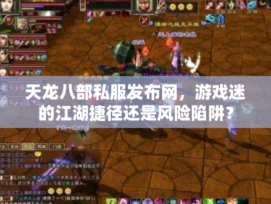 天龙八部私服发布网，游戏迷的江湖捷径还是风险陷阱？