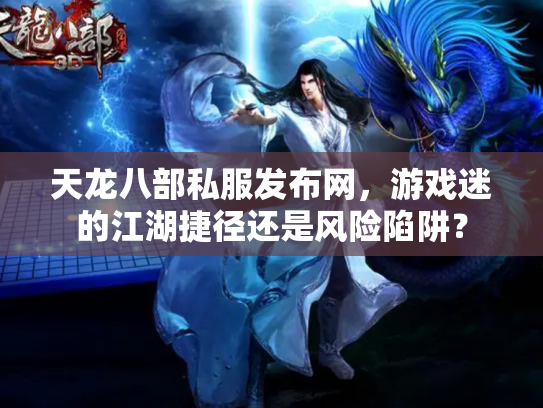 天龙八部私服发布网，游戏迷的江湖捷径还是风险陷阱？