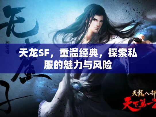 天龙SF，重温经典，探索私服的魅力与风险