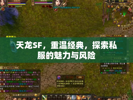 天龙SF，重温经典，探索私服的魅力与风险